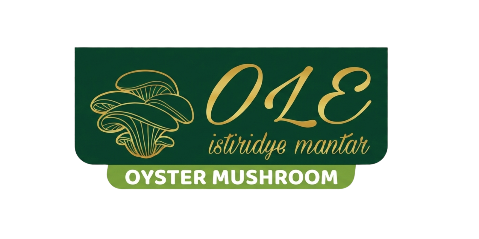 Ole Mantar - İstiridye Mantarı ve Mantar Ürünleri