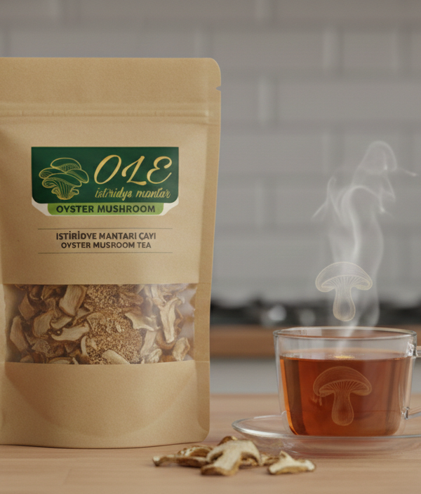 Gemini_Generated_Image_g86ed8g86ed8g86e