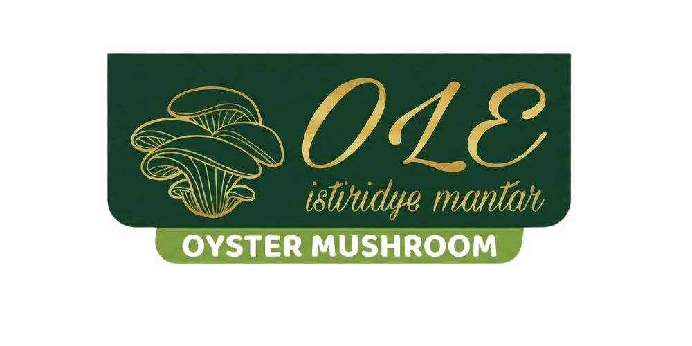 Ole Mantar - İstiridye Mantarı ve Mantar Ürünleri